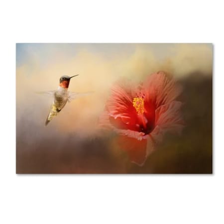 Jai Johnson 'Romancing The Hibiscus' Canvas Art,30x47